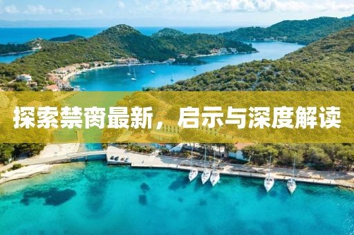探索禁脔最新，启示与深度解读