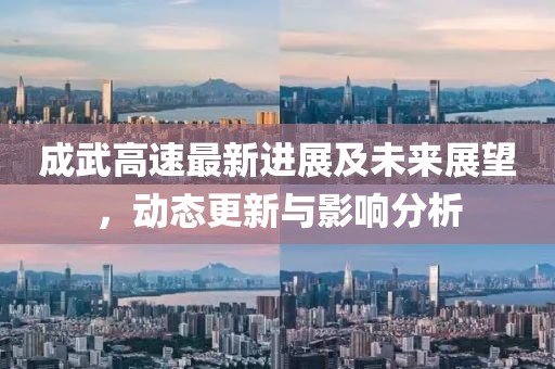成武高速最新进展及未来展望，动态更新与影响分析