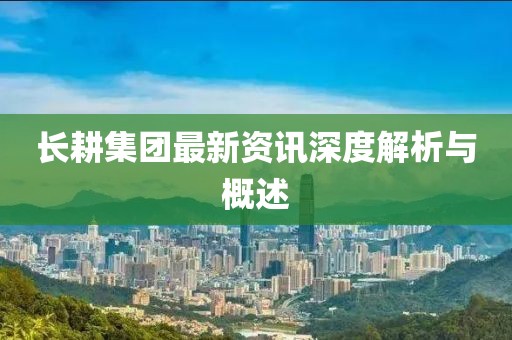 长耕集团最新资讯深度解析与概述