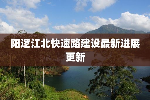 阳逻江北快速路建设最新进展更新