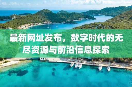 最新网址发布，数字时代的无尽资源与前沿信息探索