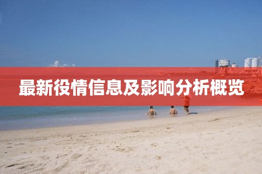 最新役情信息及影响分析概览