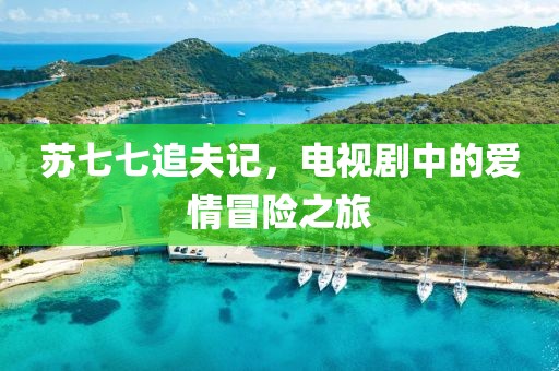 苏七七追夫记，电视剧中的爱情冒险之旅