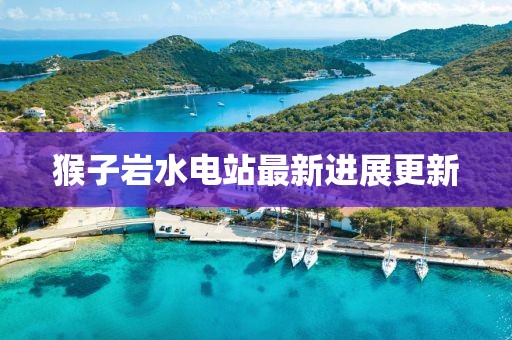 猴子岩水电站最新进展更新