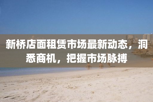 新桥店面租赁市场最新动态，洞悉商机，把握市场脉搏