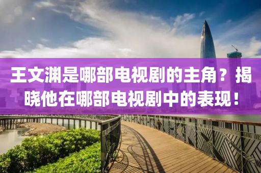 王文渊是哪部电视剧的主角？揭晓他在哪部电视剧中的表现！