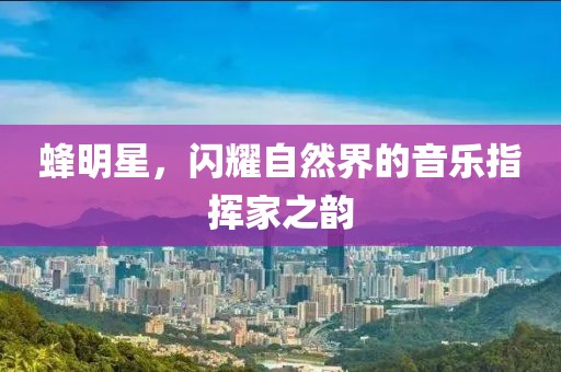 蜂明星，闪耀自然界的音乐指挥家之韵