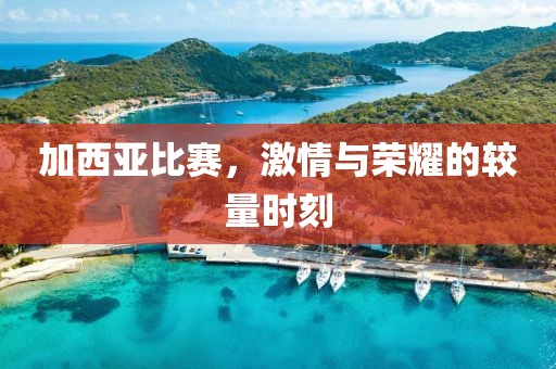加西亚比赛，激情与荣耀的较量时刻