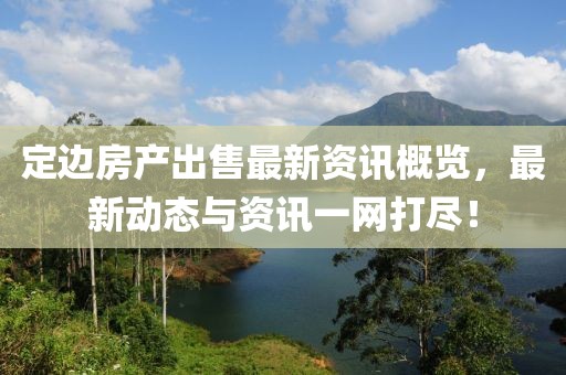 定边房产出售最新资讯概览，最新动态与资讯一网打尽！