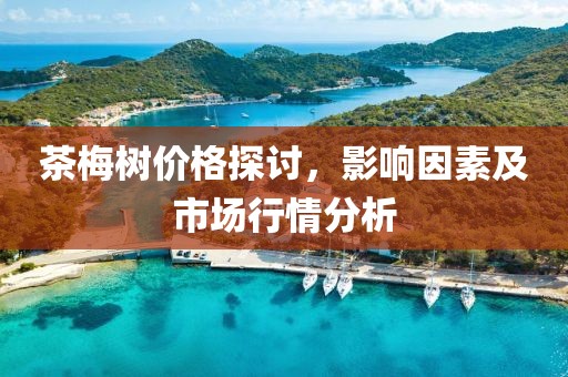茶梅树价格探讨，影响因素及市场行情分析