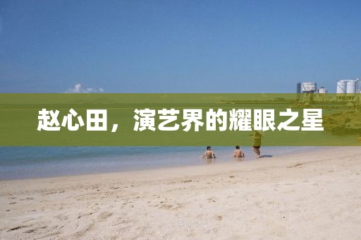 赵心田，演艺界的耀眼之星