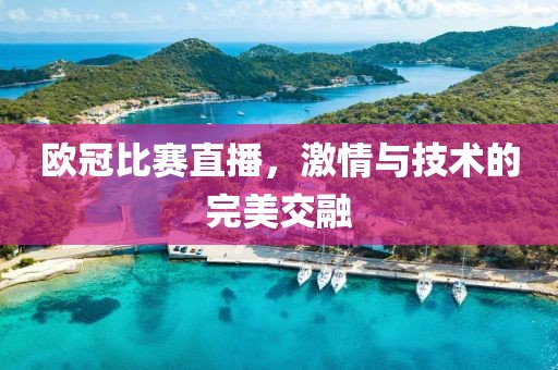 欧冠比赛直播，激情与技术的完美交融