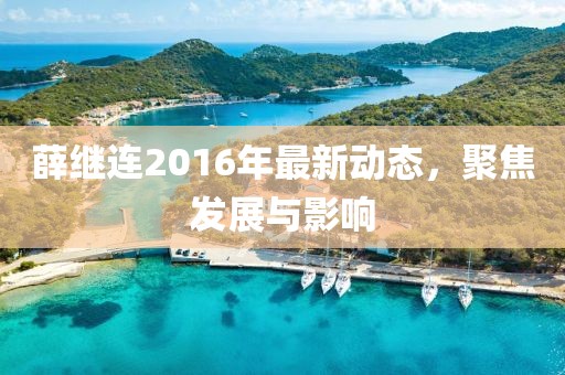 薛继连2016年最新动态，聚焦发展与影响
