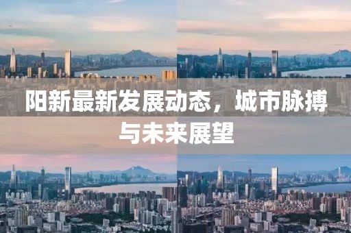 阳新最新发展动态，城市脉搏与未来展望