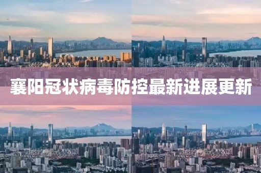 襄阳冠状病毒防控最新进展更新
