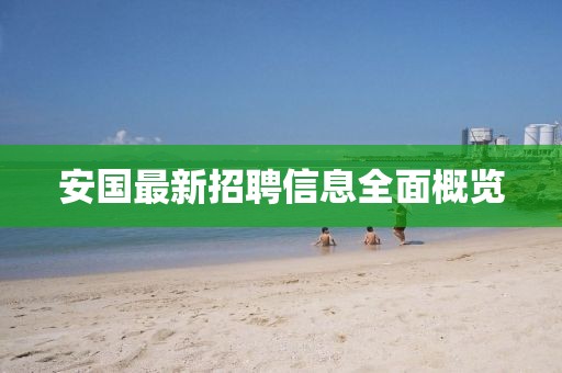 安国最新招聘信息全面概览