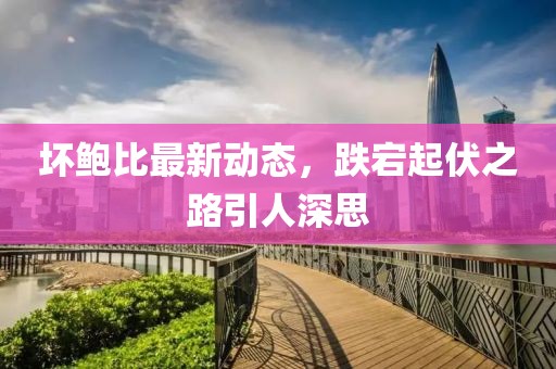 坏鲍比最新动态，跌宕起伏之路引人深思