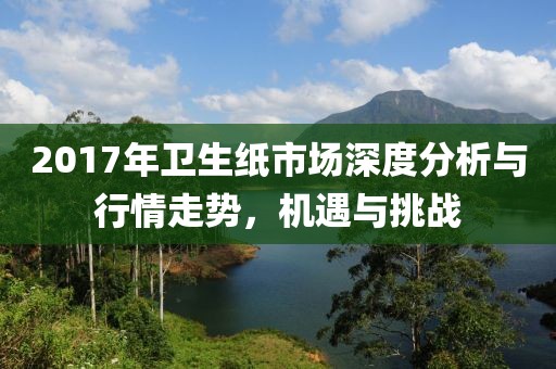 2017年卫生纸市场深度分析与行情走势，机遇与挑战