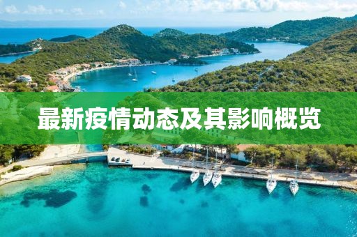 最新疫情动态及其影响概览