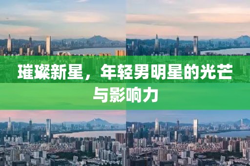 璀璨新星，年轻男明星的光芒与影响力