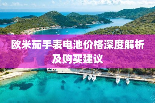 欧米茄手表电池价格深度解析及购买建议