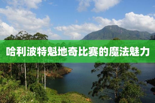 哈利波特魁地奇比赛的魔法魅力