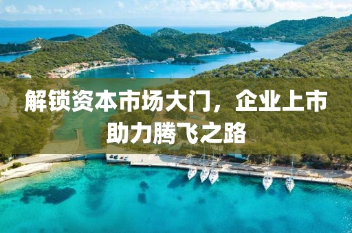 解锁资本市场大门，企业上市助力腾飞之路