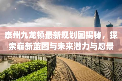 泰州九龙镇最新规划图揭秘，探索崭新蓝图与未来潜力与愿景