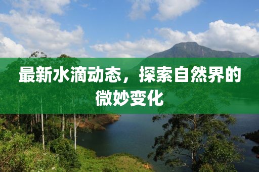 最新水滴动态，探索自然界的微妙变化