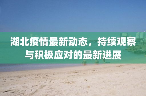 湖北疫情最新动态，持续观察与积极应对的最新进展