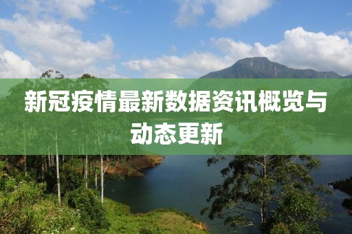 新冠疫情最新数据资讯概览与动态更新