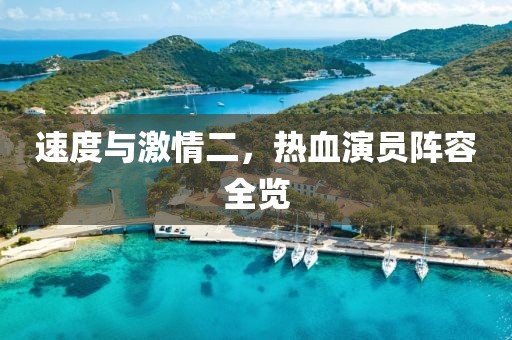 速度与激情二，热血演员阵容全览