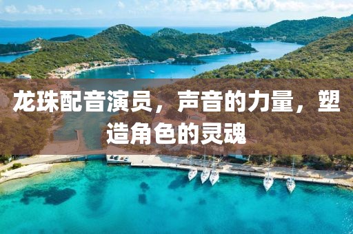 龙珠配音演员，声音的力量，塑造角色的灵魂