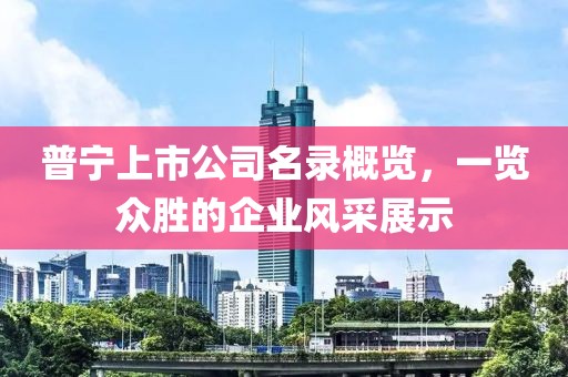 普宁上市公司名录概览，一览众胜的企业风采展示