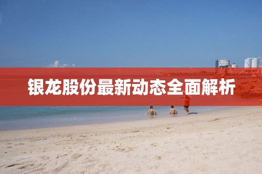 银龙股份最新动态全面解析