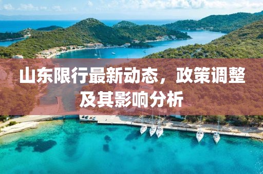 山东限行最新动态，政策调整及其影响分析