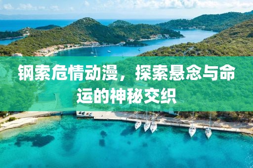 钢索危情动漫，探索悬念与命运的神秘交织