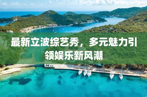 最新立波综艺秀，多元魅力引领娱乐新风潮