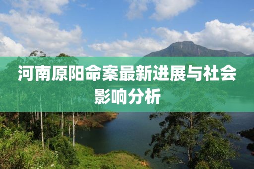 河南原阳命案最新进展与社会影响分析
