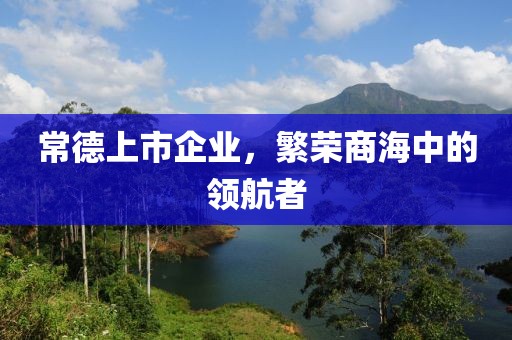 常德上市企业，繁荣商海中的领航者