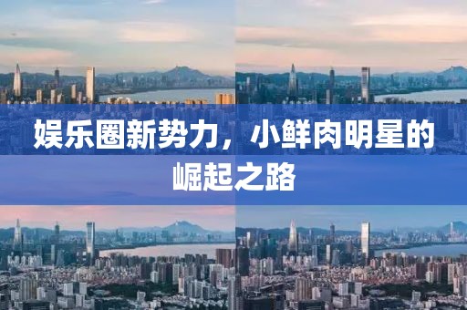 娱乐圈新势力，小鲜肉明星的崛起之路