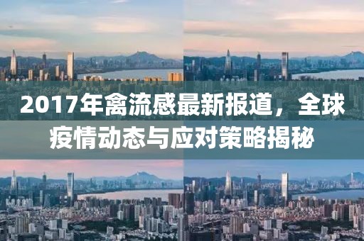 2017年禽流感最新报道，全球疫情动态与应对策略揭秘