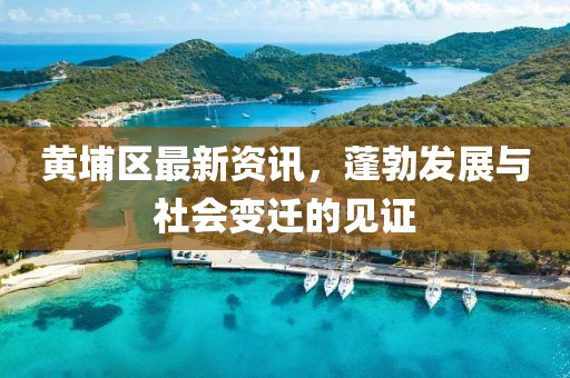 黄埔区最新资讯，蓬勃发展与社会变迁的见证