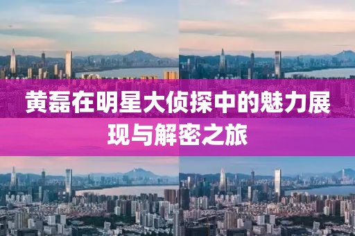 黄磊在明星大侦探中的魅力展现与解密之旅