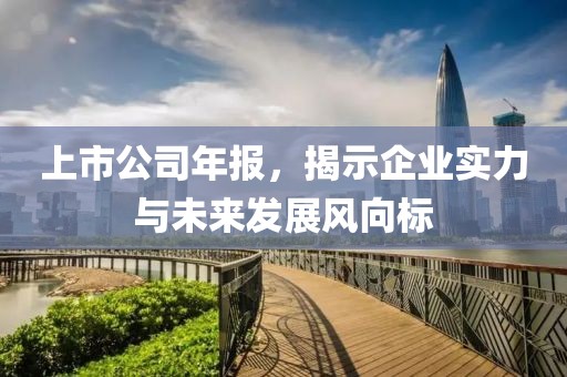 上市公司年报，揭示企业实力与未来发展风向标