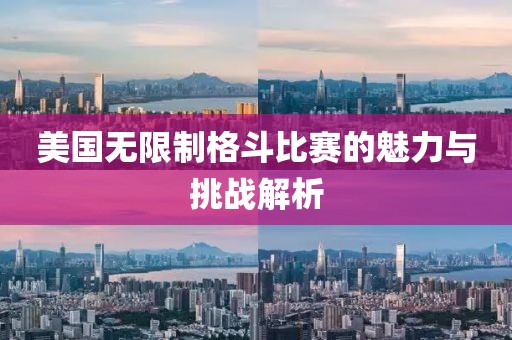 美国无限制格斗比赛的魅力与挑战解析