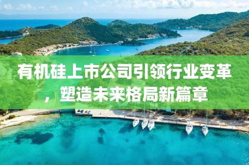 有机硅上市公司引领行业变革，塑造未来格局新篇章