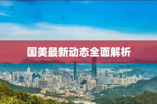 国美最新动态全面解析