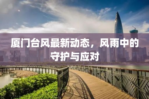 厦门台风最新动态，风雨中的守护与应对