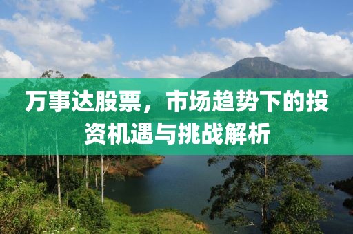 万事达股票，市场趋势下的投资机遇与挑战解析